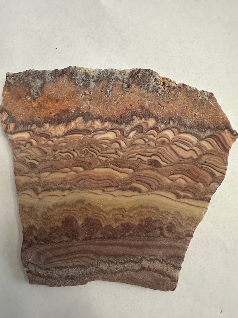 Natural Layered Stone Wall Art - Brown & Cream Decorative Slab